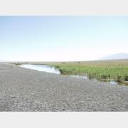 &copy; kornel