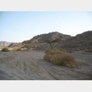 &copy; kornel