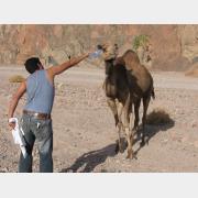 &copy; kornel