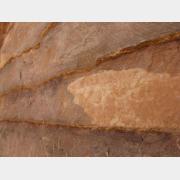 &copy; kornel