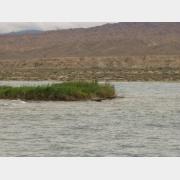 &copy; kornel